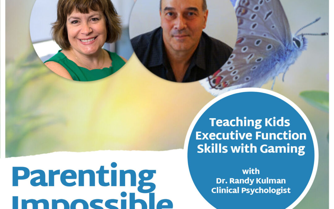 Teaching Kids Executive Function Skills with Gaming with Dr. Randy Kulman