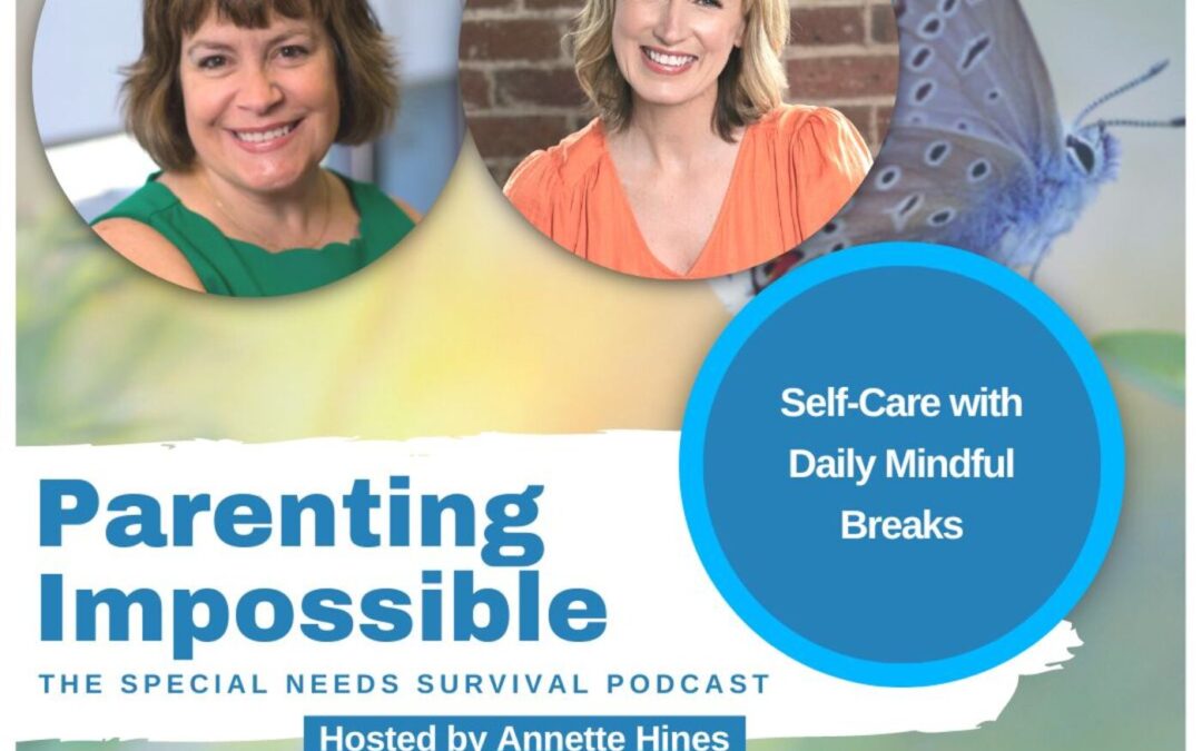 Self-Care with Daily Mindful Breaks