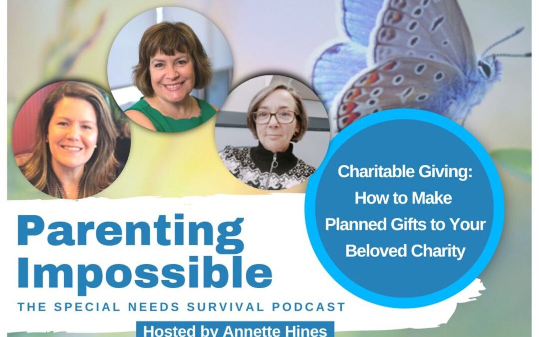 Charitable Giving: How to Make Planned Gifts to Your Beloved Charity