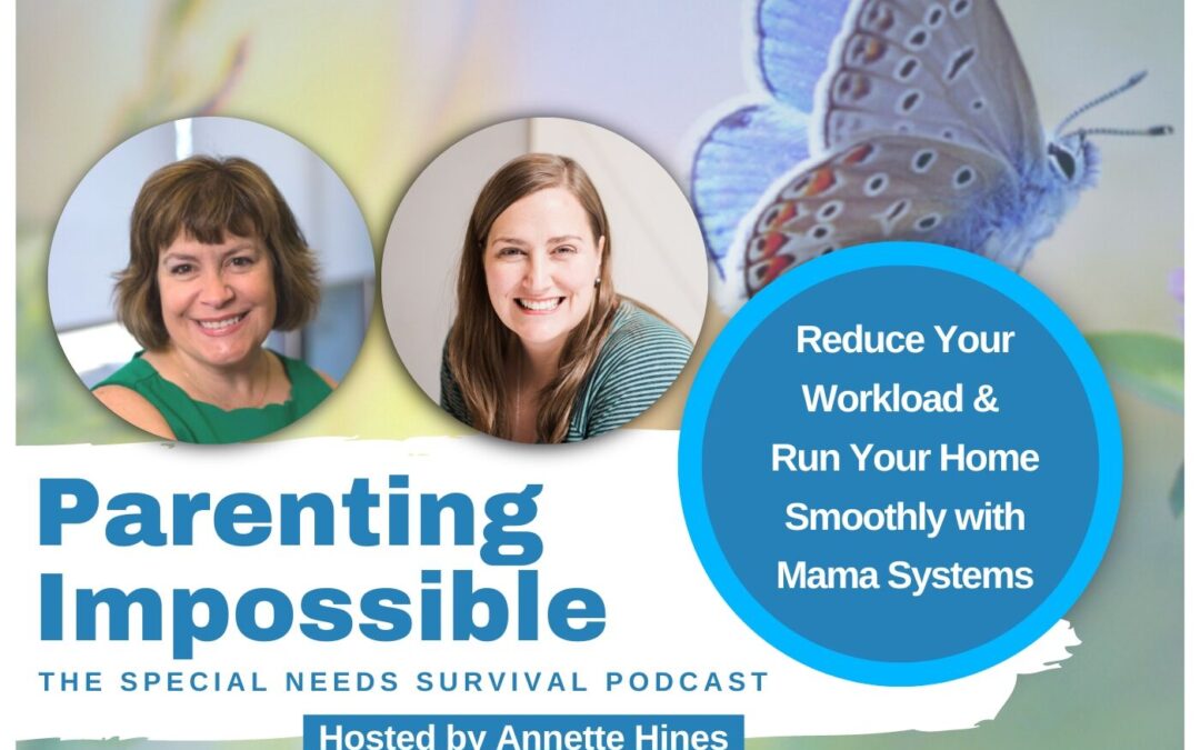 Reduce Your Workload & Run Your Home Smoothly with Mama Systems